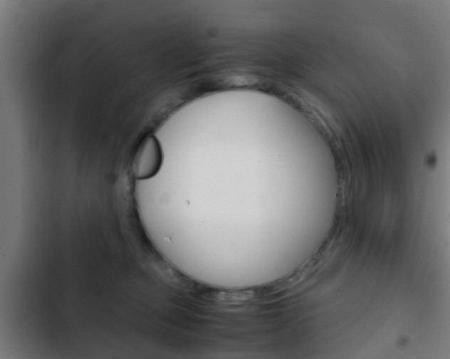X0000103410373200809120954