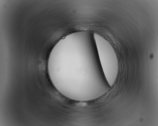 X0000103410374200809120954