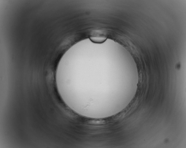 X0000103410375200809120954