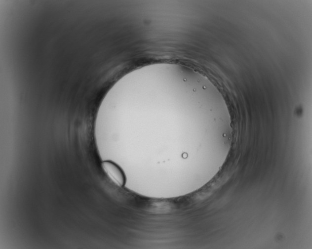 X0000103410376200809120954