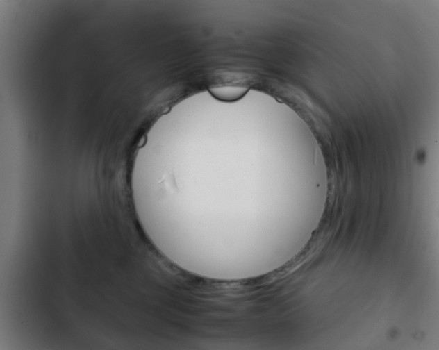 X0000103410377200809120954