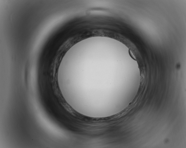 X0000103410381200809120954