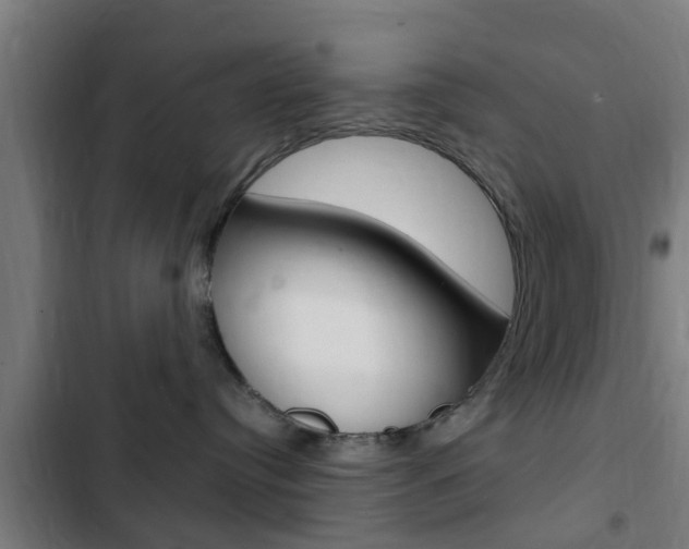 X0000103410384200809120954