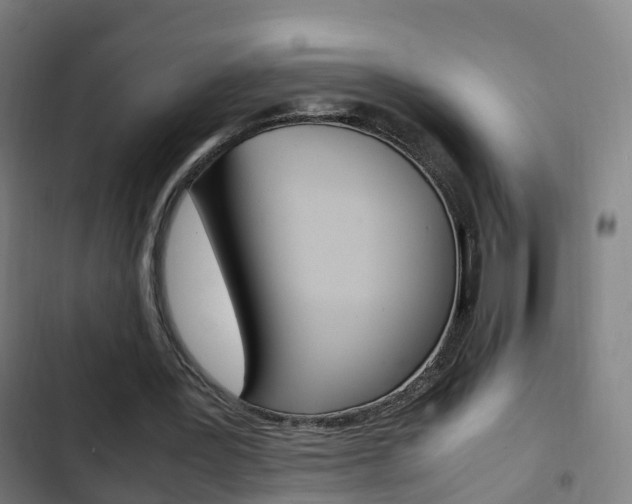 X0000103410387200809120954