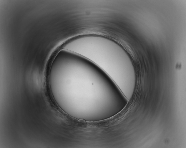 X0000103410388200809120954