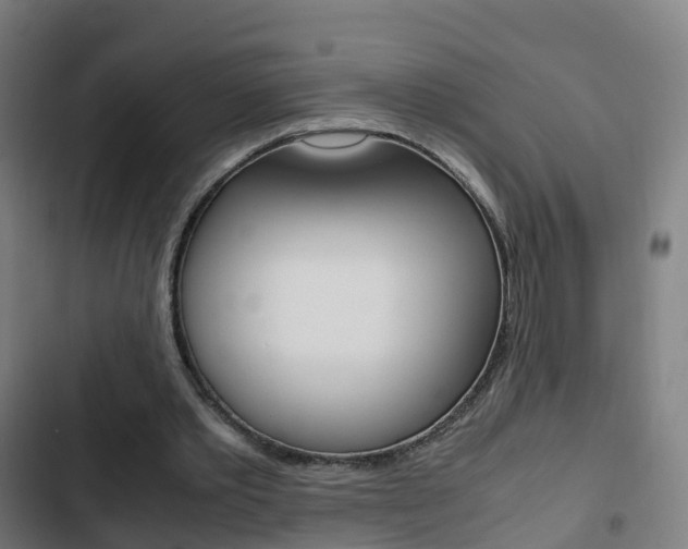 X0000103410389200809120954