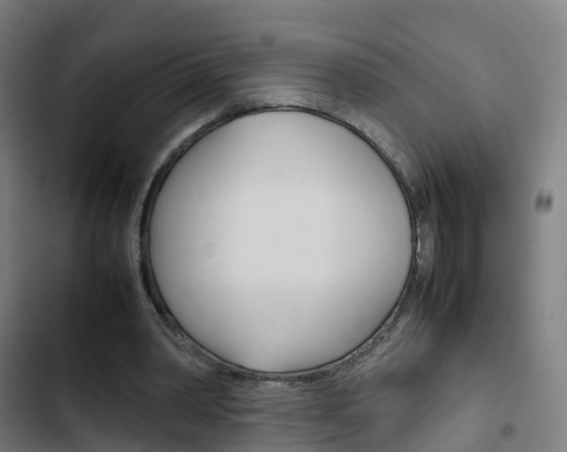 X0000103410390200809120954