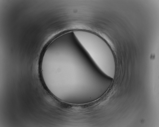 X0000103410391200809120954