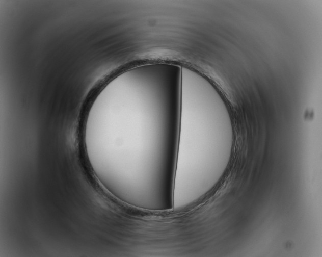 X0000103410392200809120954