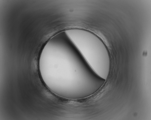 X0000103410393200809120954