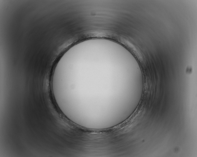 X0000103410394200809120953