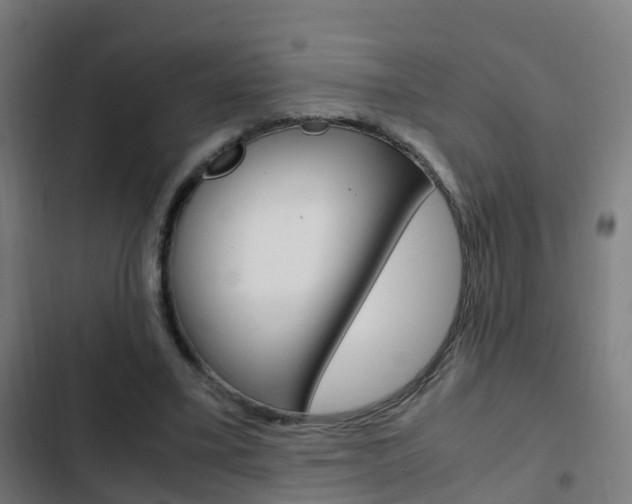 X0000103410395200809120953