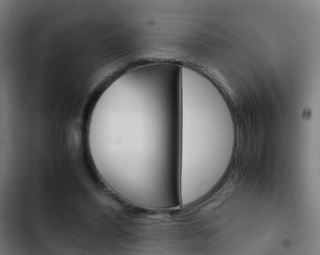 X0000103410396200809120953