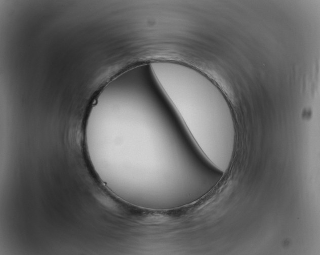X0000103410397200809120953