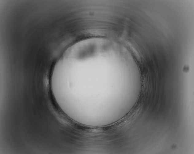 X0000103410398200809120953
