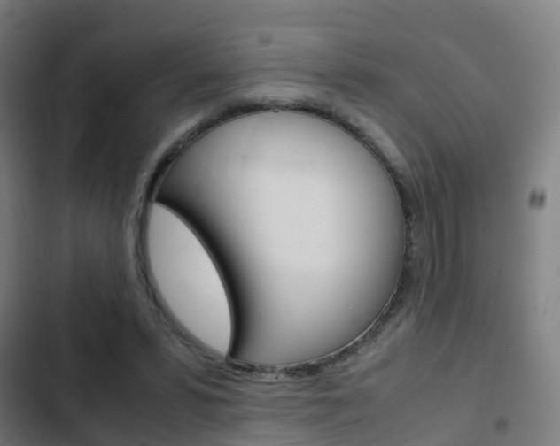 X0000103410399200809120953