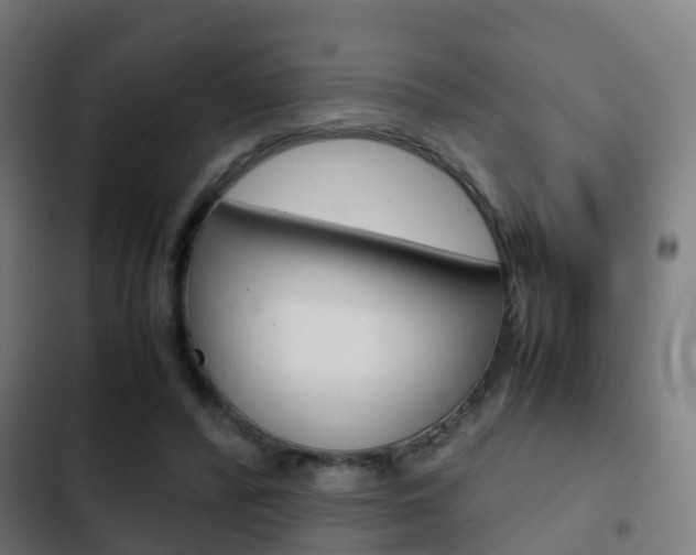 X0000103410400200809120953