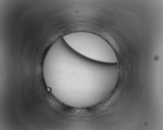 X0000103410401200809120953