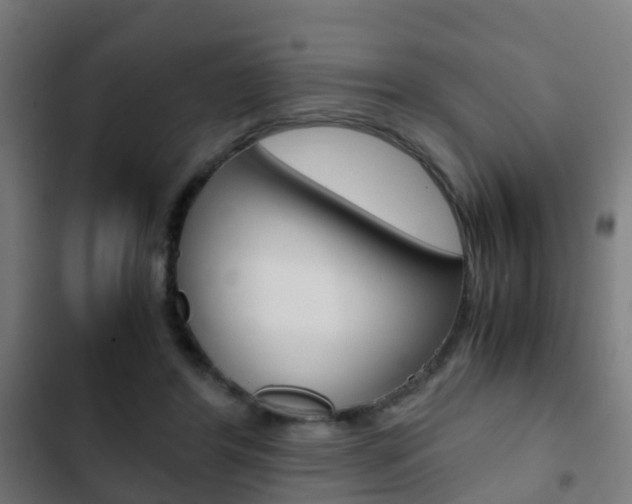 X0000103410404200809120953