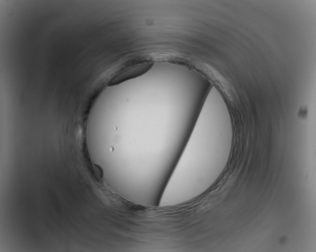 X0000103410405200809120953