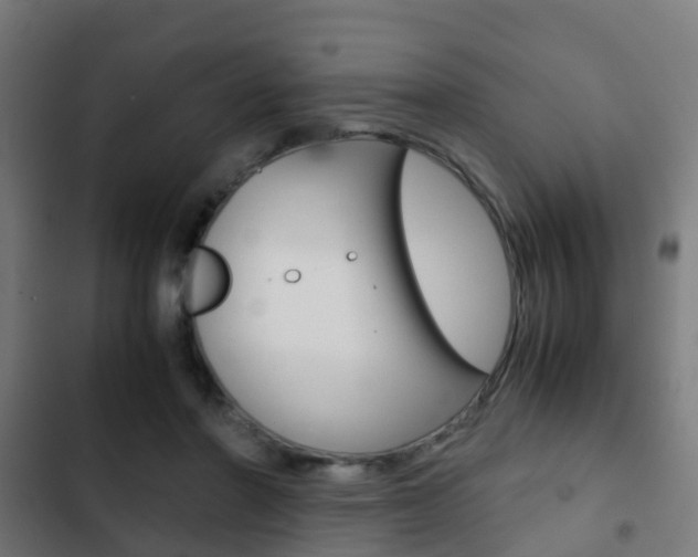 X0000103410406200809120953
