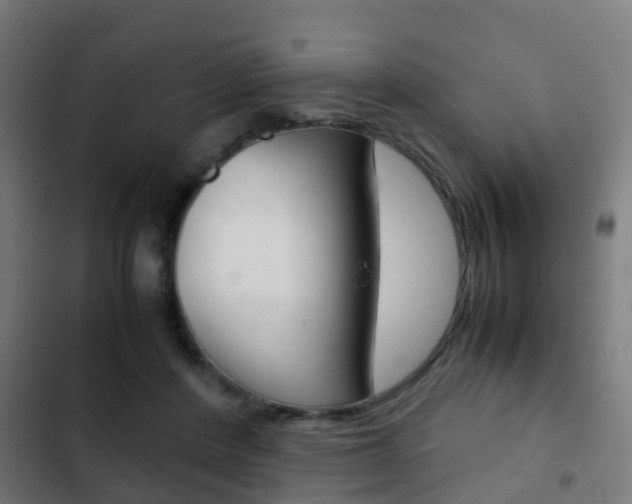 X0000103410408200809120953