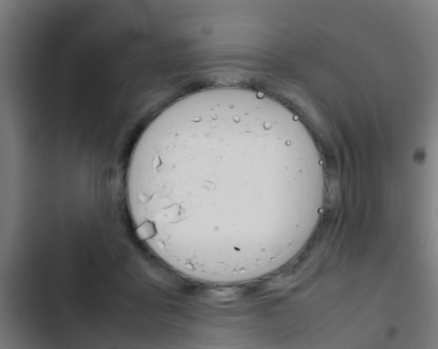 X0000103410411200809120953