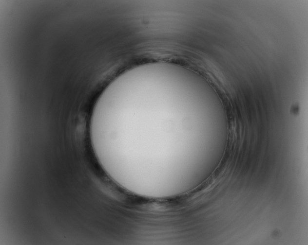 X0000103410412200809120953