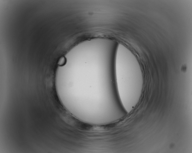 X0000103410413200809120953