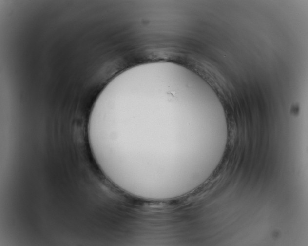 X0000103410414200809120953
