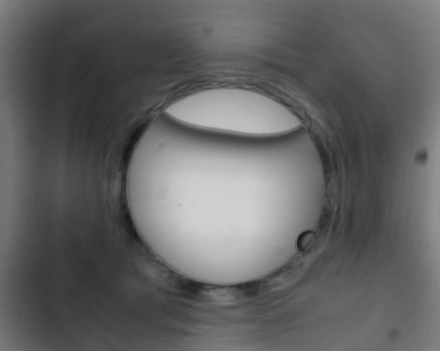 X0000103410417200809120953