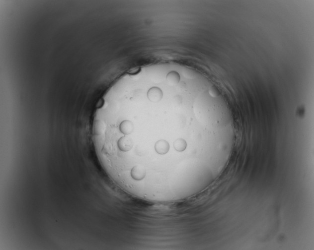 X0000103410418200809120953