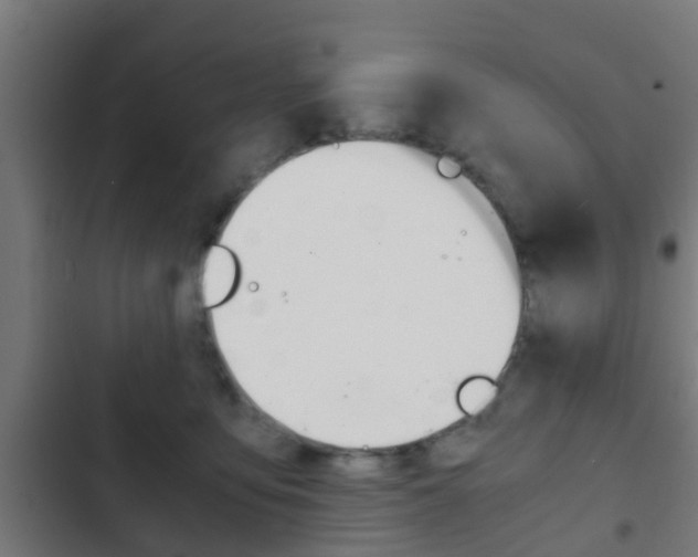 X0000103410419200809120953