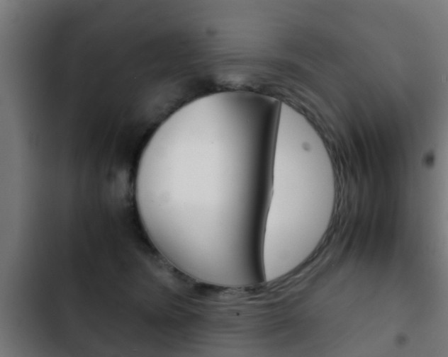 X0000103410420200809120953