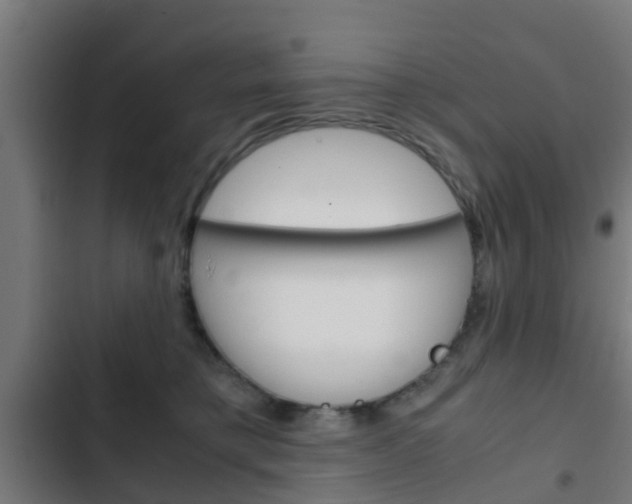 X0000103410421200809120953