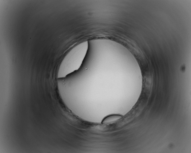 X0000103410422200809120953