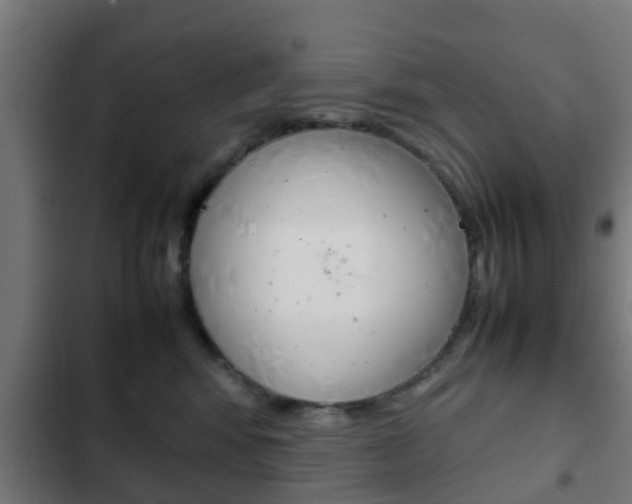 X0000103410424200809120953