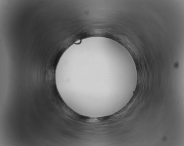 X0000103410425200809120953