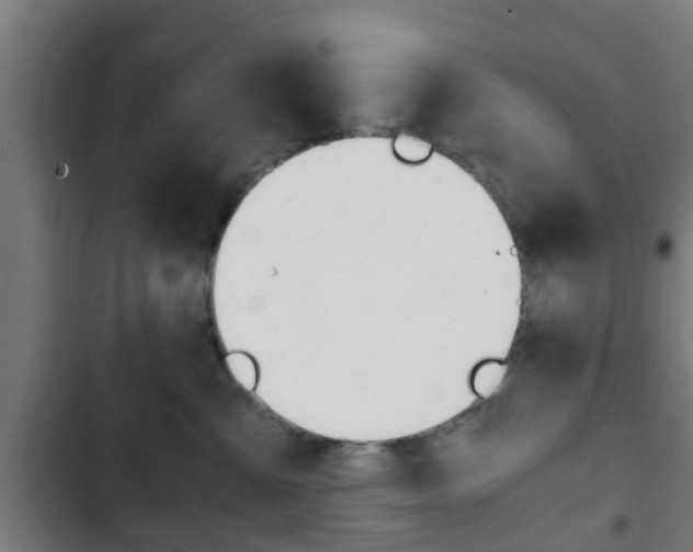 X0000103410427200809120953