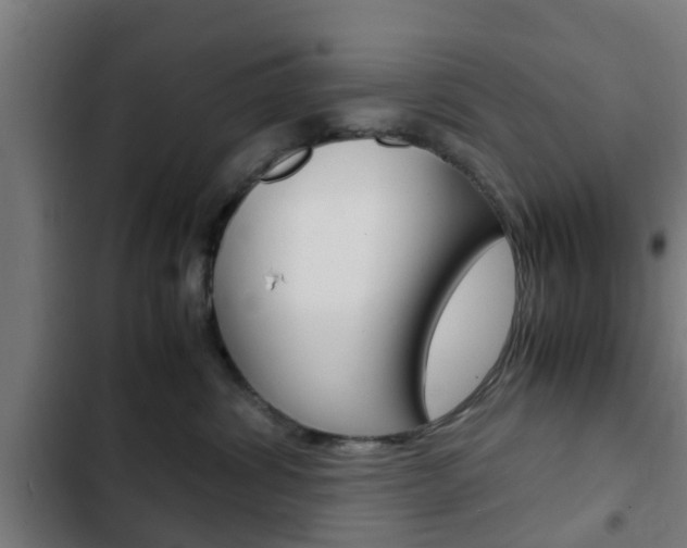 X0000103410428200809120953