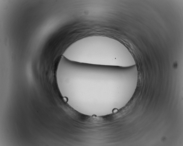 X0000103410429200809120953