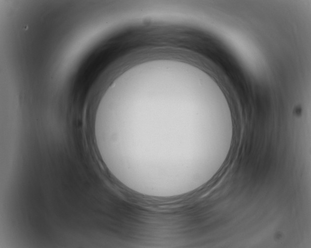 X0000103410431200809120953
