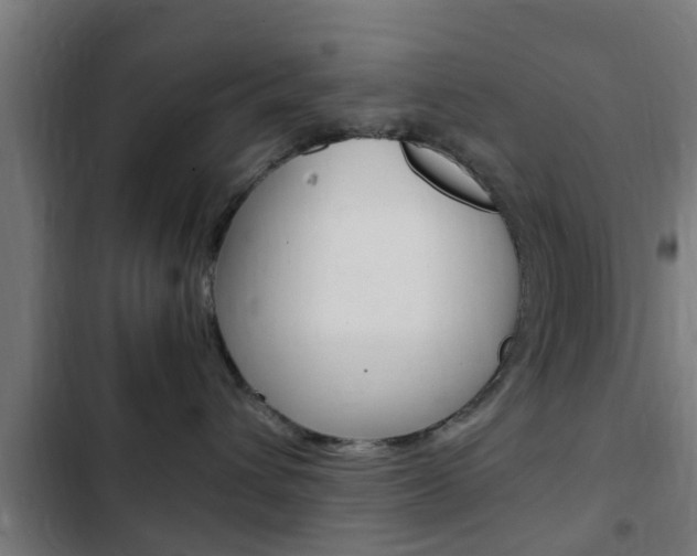 X0000103410432200809120953