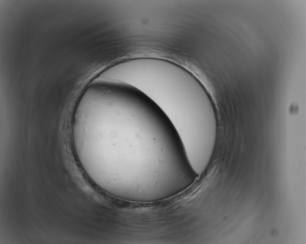 X0000103410433200809120952