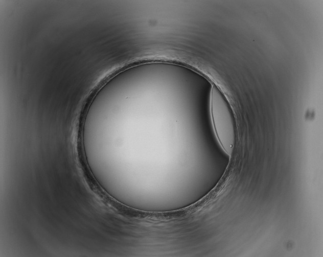 X0000103410434200809120952