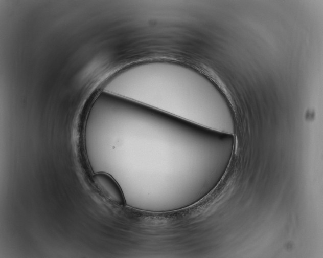 X0000103410435200809120952