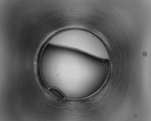 X0000103410436200809120952