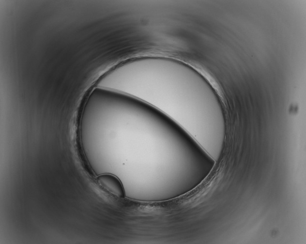 X0000103410437200809120952
