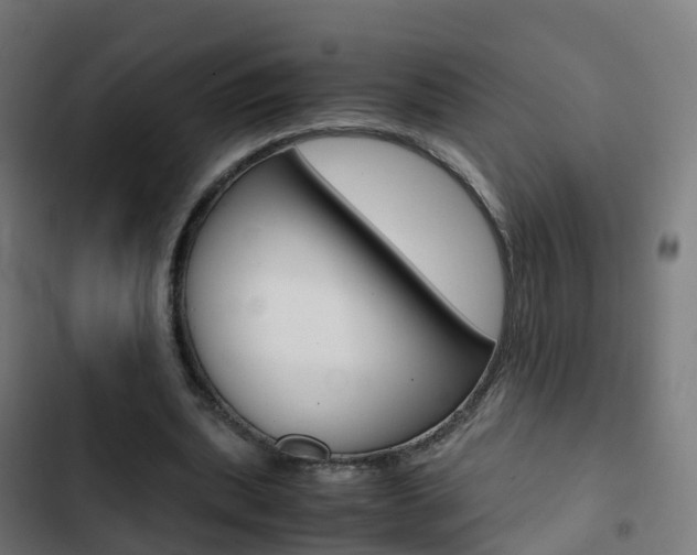 X0000103410439200809120952