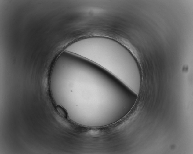 X0000103410441200809120952